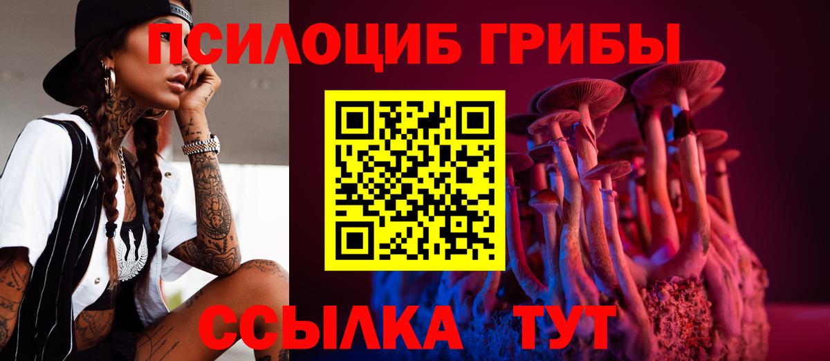 Псилоцибиновые грибы ЛСД  Вход с VPN  Сухой Лог 